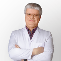 Мухаммет Хулуси Сатылмышоглы