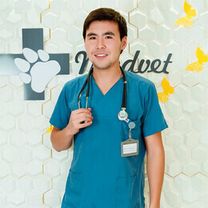 Инкарбаев Ерназар Ерболатулы