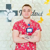 Писарев Натан