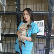 Каиржанова Алтынай Муратовна