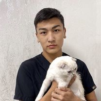 Махаметов Дамир Адилжанович