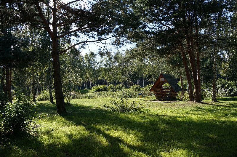 Территория Санаторий «Сосновый бор» - фото 1518913